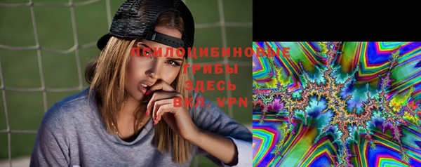 амфетамин Белокуриха