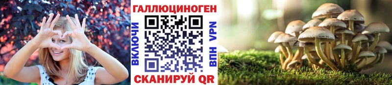 Галлюциногенные грибы MAGIC MUSHROOMS  Чудово 