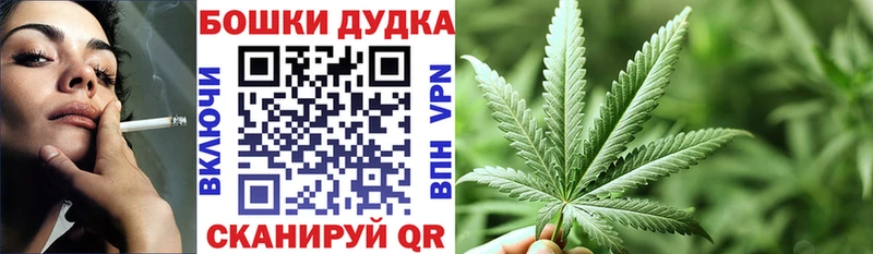 Каннабис сатива  купить наркотик  Чудово 